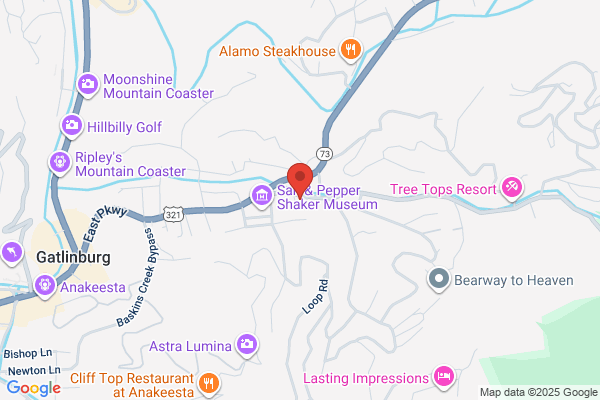 Smokey Mountains Weddings of the Heart