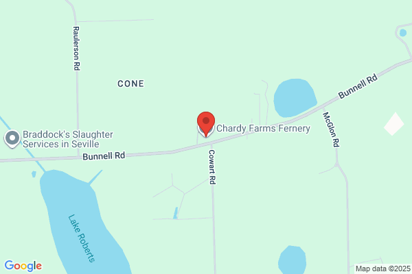 Chardy Farms Fernery