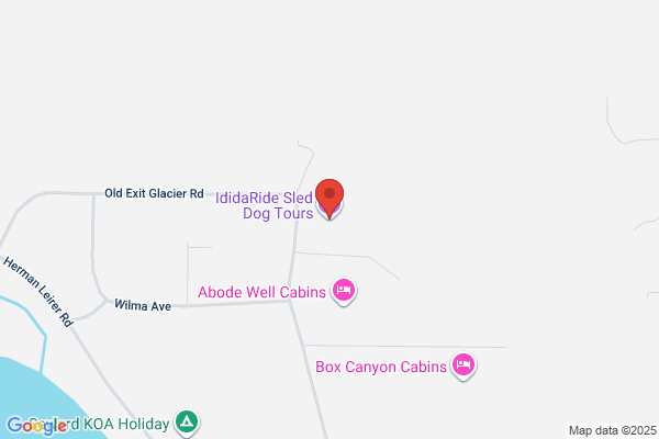 Ididaride Sled Dog Tours