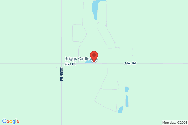 Briggs Feedyard Inc