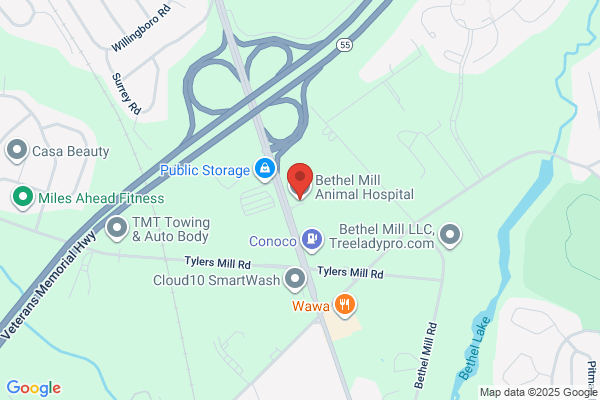 Bethel Mill Animal Hospital