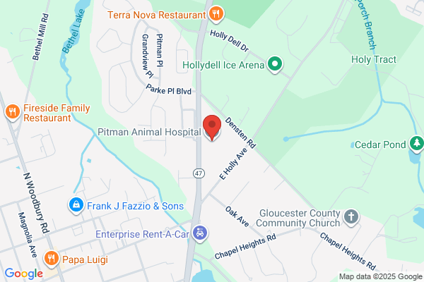 Pitman Animal Hospital