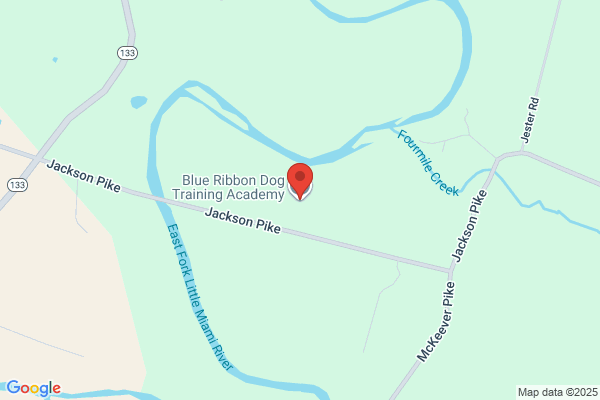 Blue Ribbon Dog Training
