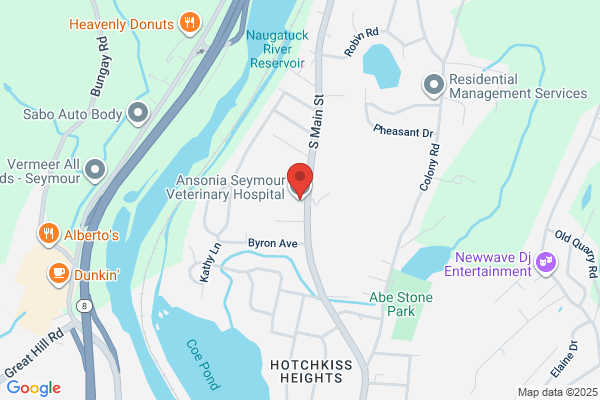 Ansonia Animal Hospital