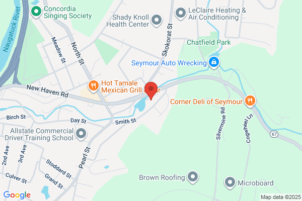 Conn-Professional Water Services