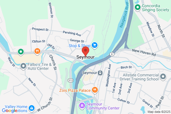 Seymour Town of, Public Library