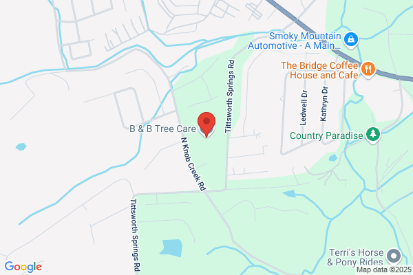 B & B Tree Care LLC