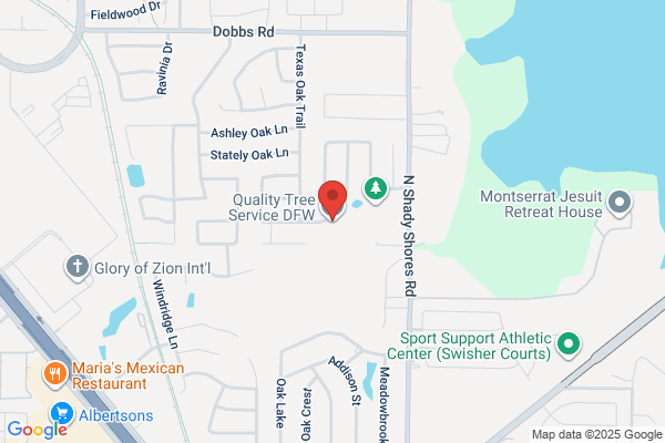 Quality Tree Service DFW