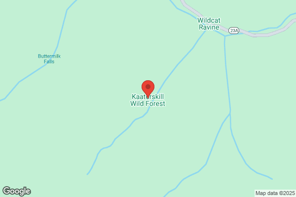 Catskill Forest Sports
