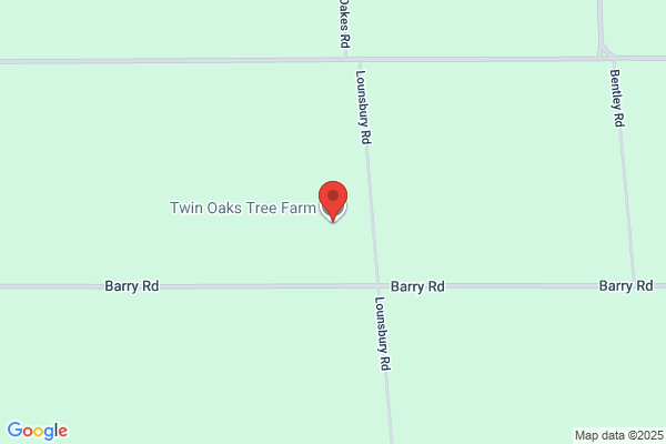 Twin Oaks Tree Farm