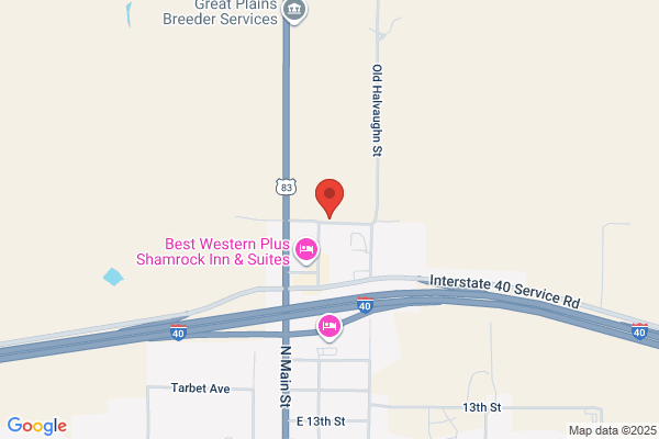 Shamrock Slaughter Plant