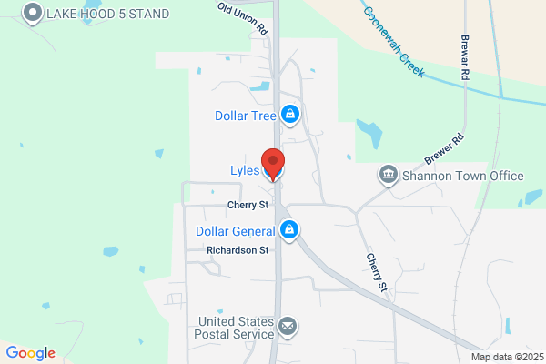 Shannon Auto & Detailing