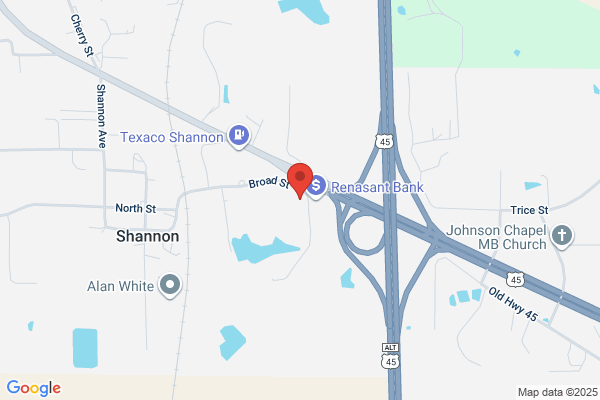 Town of Shannon