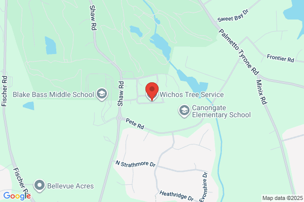Judy's Tree Services