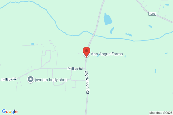 Ann Angus Farms