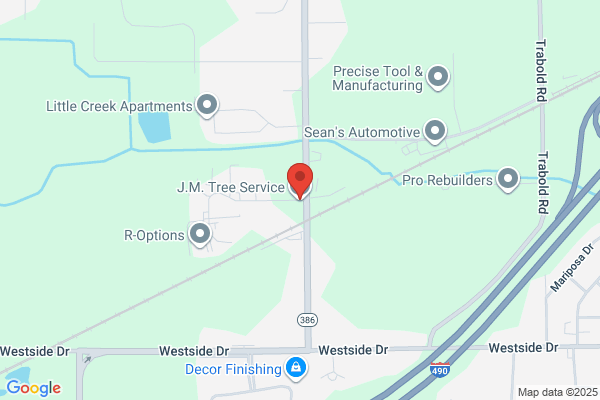 J & M Tree Service