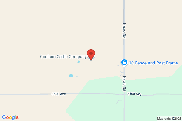 Coulson & Company Llc