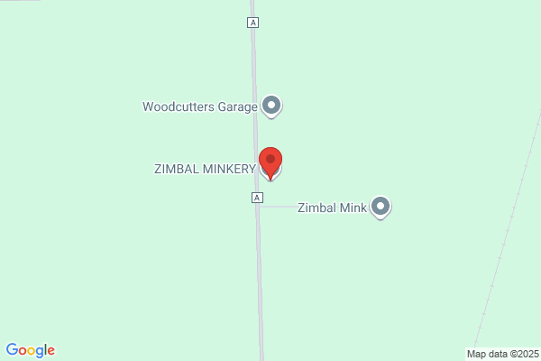 Zim & M