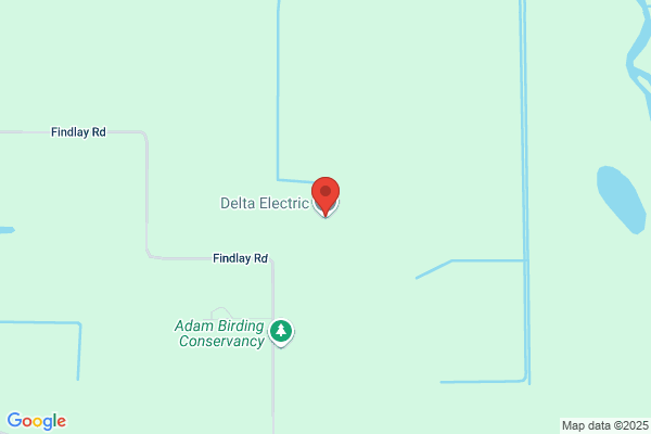 Delta Electric