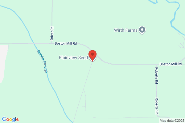 Plainview Seed