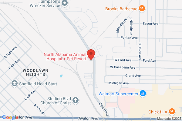 Youngblood, Troy DVM - North Alabama Animal Hospital