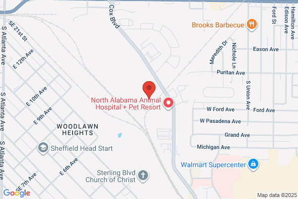 Shoals Primary Care