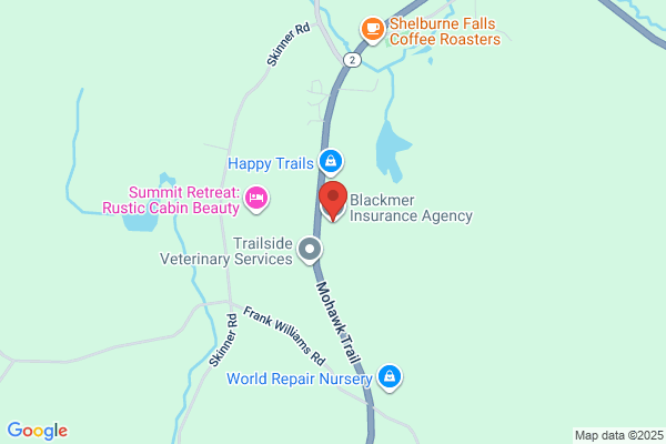 Blackmer Insurance Agency