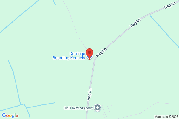 York Kennels
