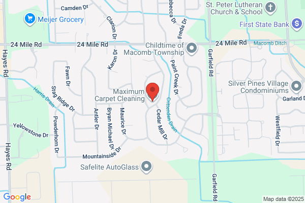 Maximum Carpet Cleaning