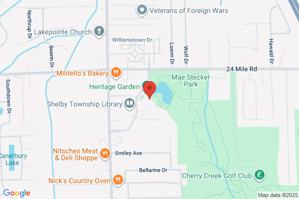 Shelby Township Professionals