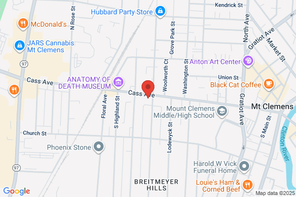 Michigan Auto Title Service Inc