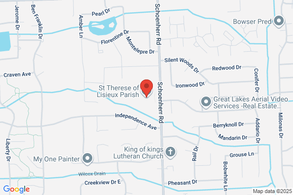 St Therese of Lisieux Parish