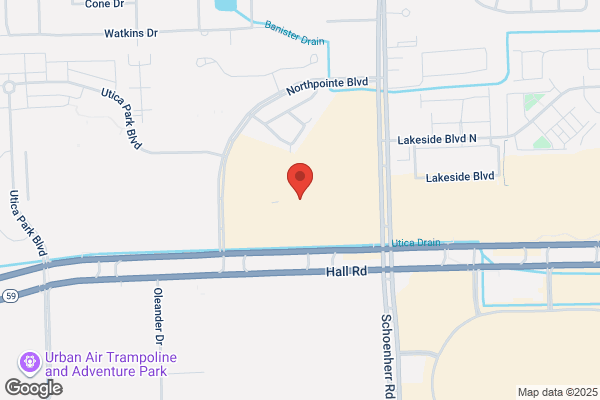 Hollywood Video