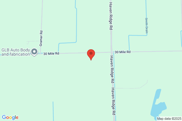 Expert Tree Service Macomb