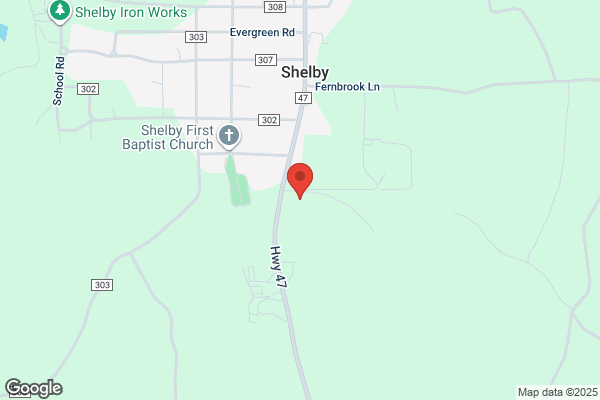 Fire Departments, Shelby