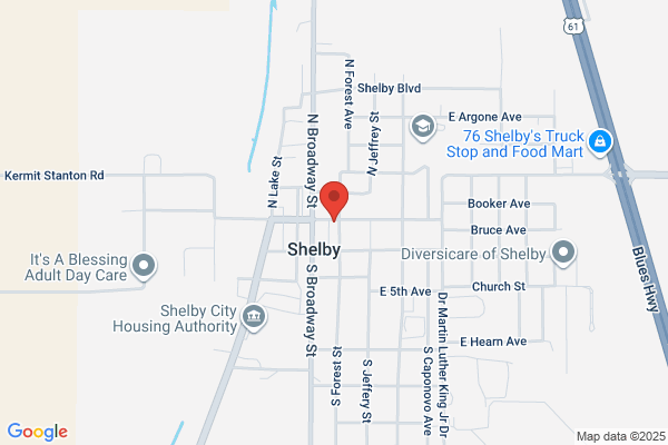 Shelby Financial Services