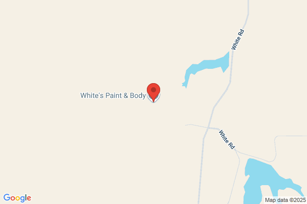 Lyn's Body Shop