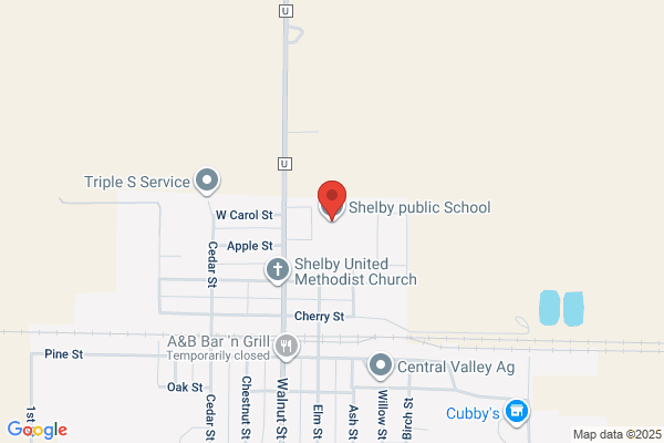 Schools, Shelby Public High School