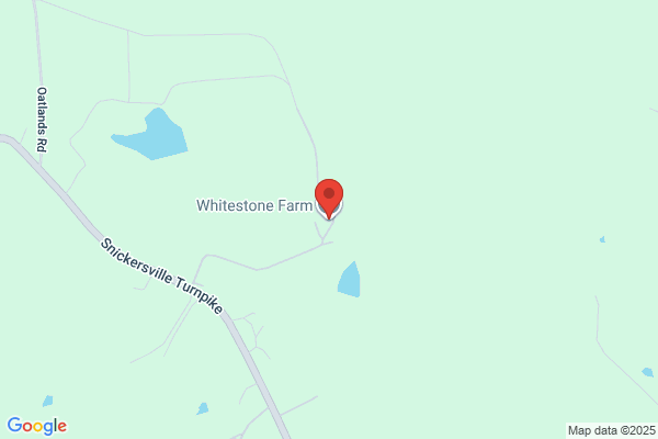 Whitestone Farm Llp