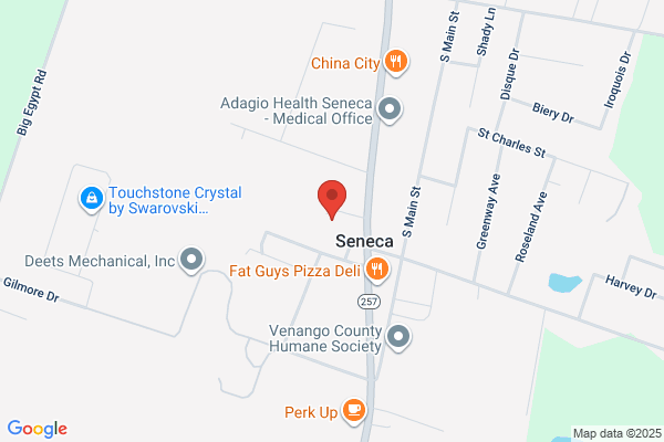 Seneca Medical