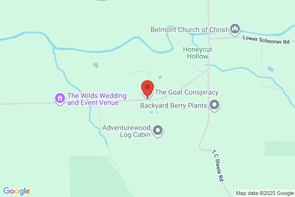 GOAT Planning