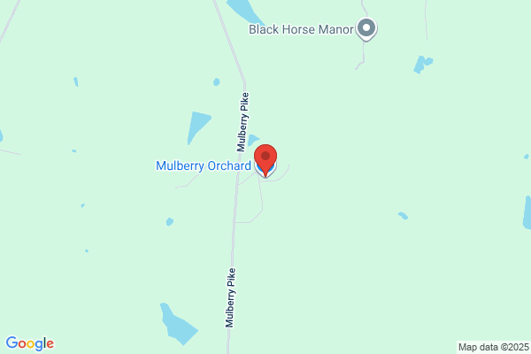 Mulberry Orchard