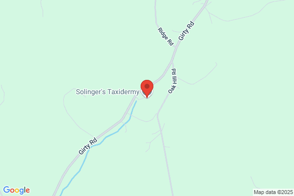 Solinger's Taxidermy