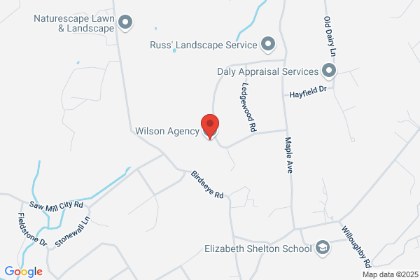 Wilson Agency Inc