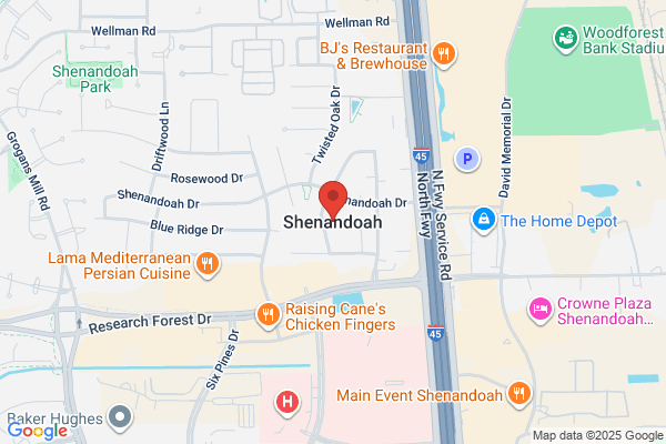 Shenandoah City of, City Manager