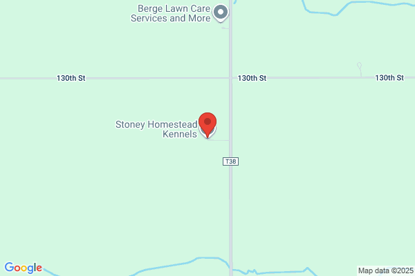 Stony Point Kennels