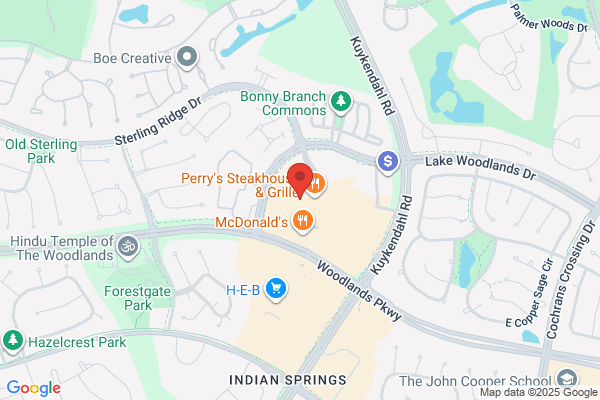 Paws In the Woodlands