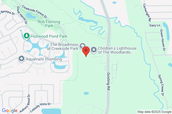 The Phoenix Academy the Woodlands
