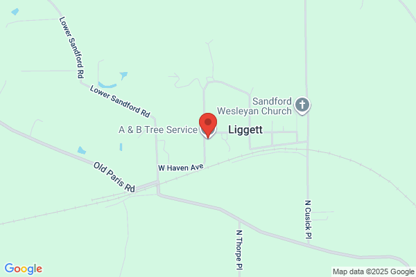 A & B Tree Service