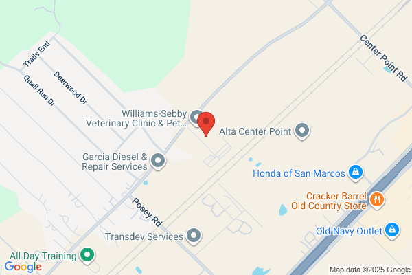 Buddy's Pet Salon & Resort